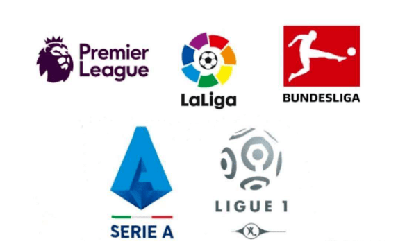 无疑将奠定 无疑将奠定